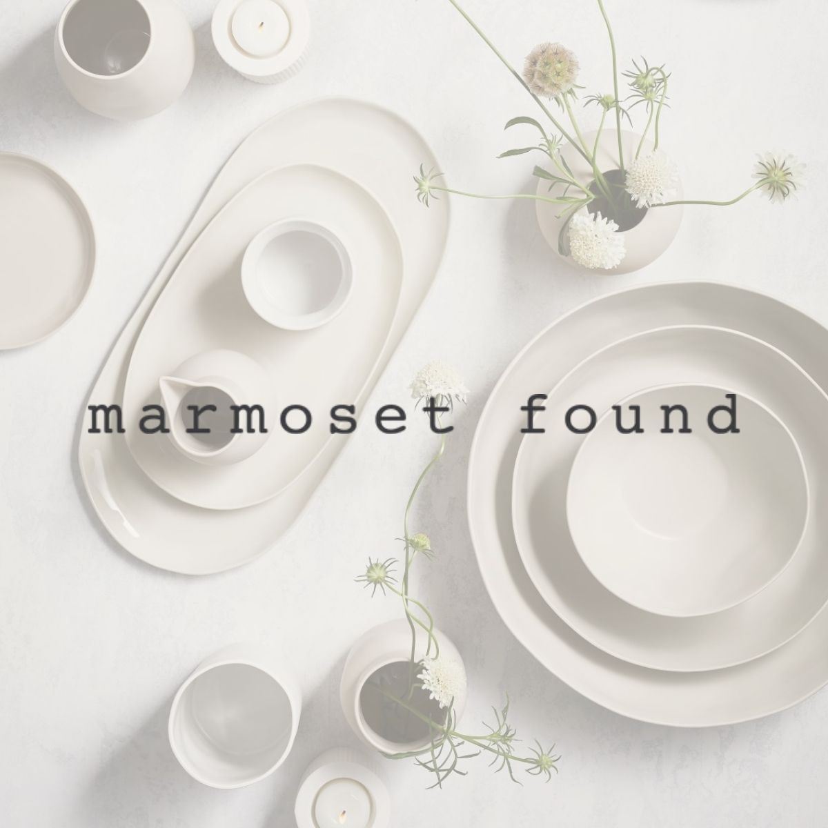 Marmoset Found