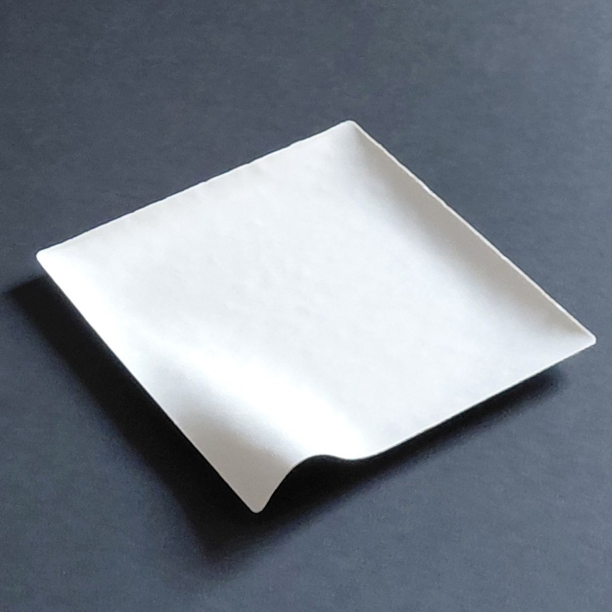 Capri Bagasse Plate Pk/25