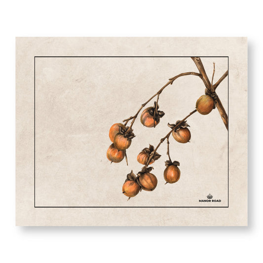 Persimmon Paper Placemat Pad/30