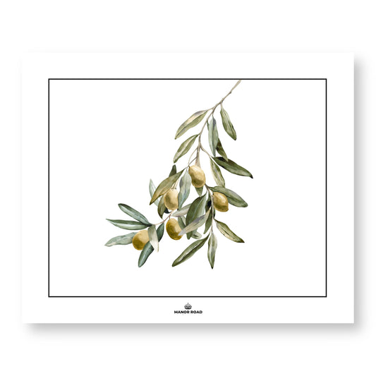 Wild Olives Paper Placemat Pad/30