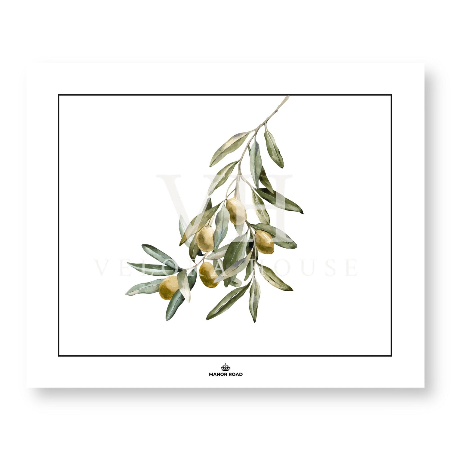 Wild Olives Paper Placemat Pad/30