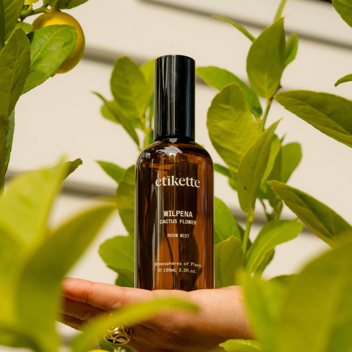 Wilpena Room Mist