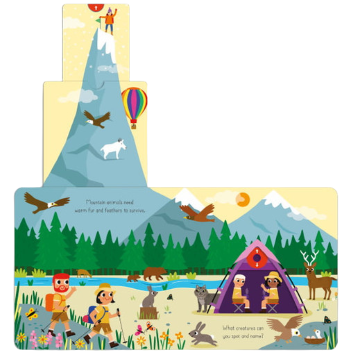 Hike In The Wild Book
