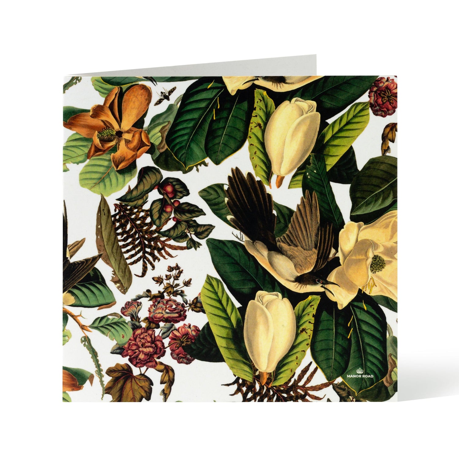 Magnolia Blooms Greeting Card